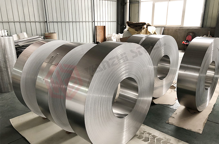 Stainless Steel Strip/band